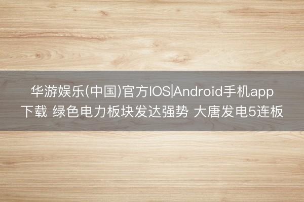 华游娱乐(中国)官方IOS|Android手机app下载 绿色电力板块发达强势 大唐发电5连板