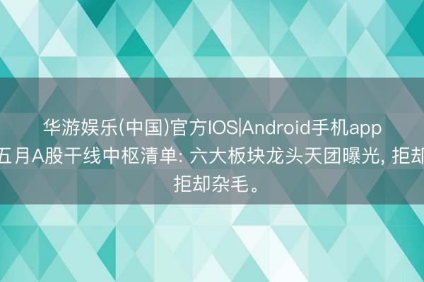华游娱乐(中国)官方IOS|Android手机app下载 五月A股干线中枢清单: 六大板块龙头天团曝光， 拒却杂毛。