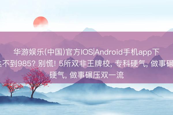 华游娱乐(中国)官方IOS|Android手机app下载 分数达不到985? 别慌! 5所双非王牌校， 专科硬气， 做事碾压双一流
