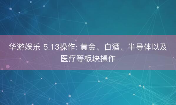 华游娱乐 5.13操作: 黄金、白酒、半导体以及医疗等板块操作