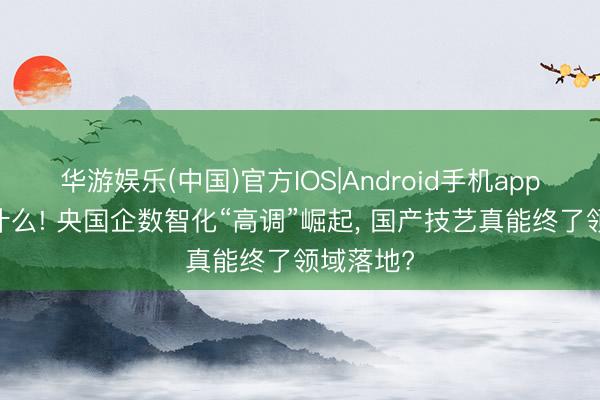 华游娱乐(中国)官方IOS|Android手机app下载 凭什么! 央国企数智化“高调”崛起， 国产技艺真能终了领域落地?