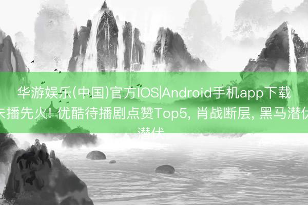 华游娱乐(中国)官方IOS|Android手机app下载 未播先火! 优酷待播剧点赞Top5， 肖战断层， 黑马潜伏。