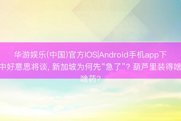 华游娱乐(中国)官方IOS|Android手机app下载 中好意思将谈， 新加坡为何先“急了”? 葫芦里装得啥药?
