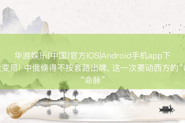 华游娱乐(中国)官方IOS|Android手机app下载 大变局! 中俄倏得不按套路出牌， 这一次要动西方的“命脉”