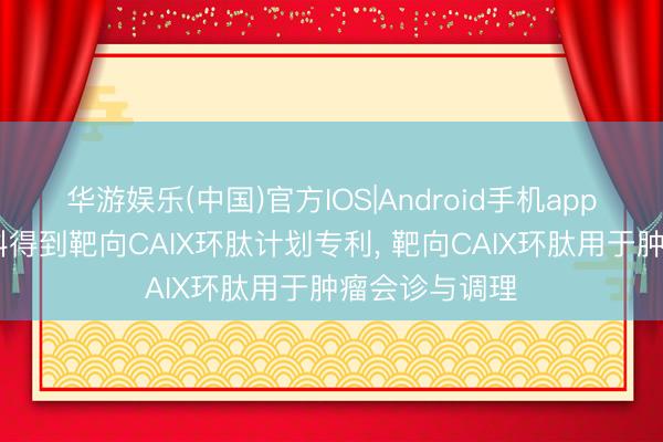 华游娱乐(中国)官方IOS|Android手机app下载 原子高科得到靶向CAIX环肽计划专利， 靶向CAIX环肽用于肿瘤会诊与调理