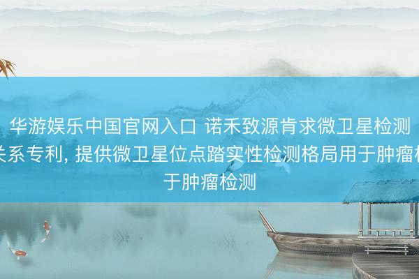 华游娱乐中国官网入口 诺禾致源肯求微卫星检测法关系专利， 提供微卫星位点踏实性检测格局用于肿瘤检测