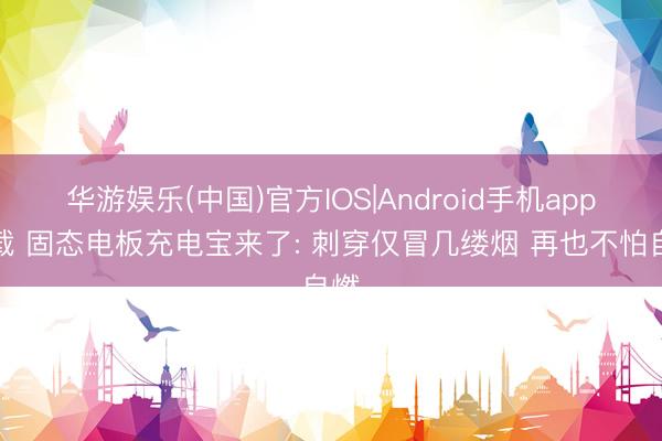 华游娱乐(中国)官方IOS|Android手机app下载 固态电板充电宝来了: 刺穿仅冒几缕烟 再也不怕自燃